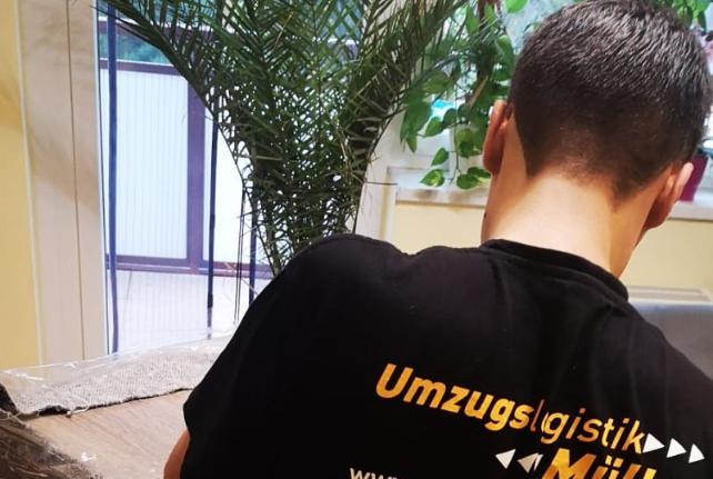 Laborumzug Neuhausen/Erzgebirge stressfrei umziehen 